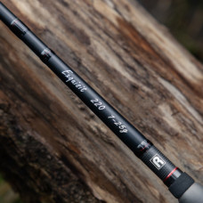 Спиннинг ROZEMEIJER EXQUISIT - 2.20m / 7-25g
