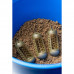 Кормушка Preston Bait Up Window Feeder — 70 г